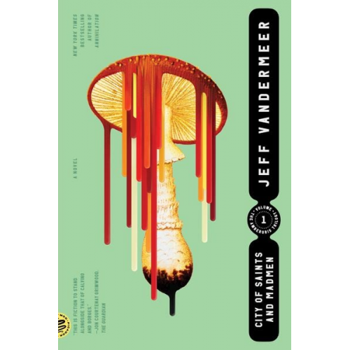 Jeff VanderMeer - City of Saints and Madmen