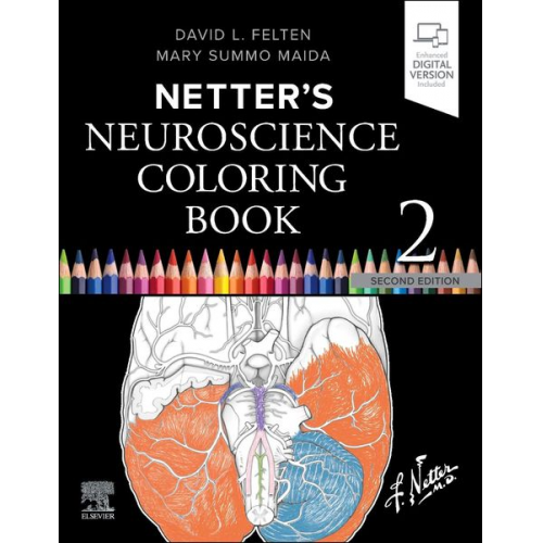 David L Felten Mary Summo Maida - Netter's Neuroscience Coloring Book