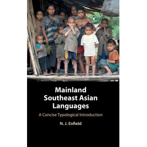 N. J. Enfield - Mainland Southeast Asian Languages