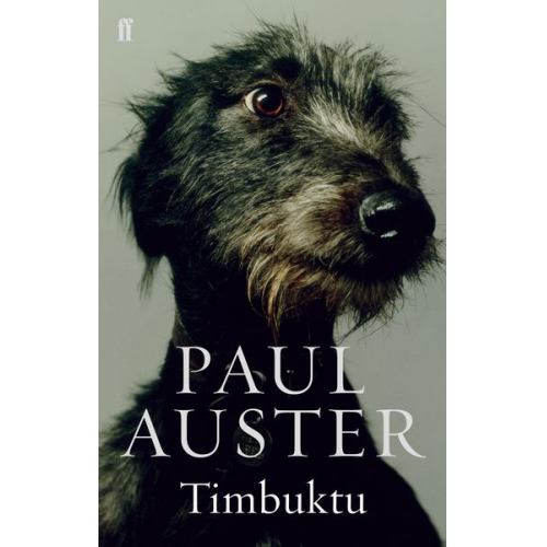 Paul Auster - Timbuktu