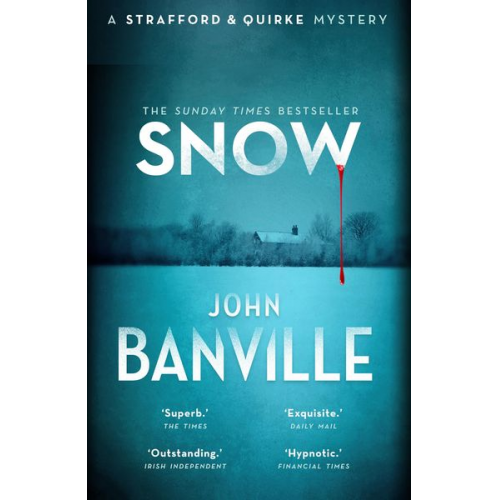 John Banville - Snow