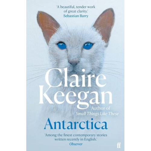 Claire Keegan - Antarctica