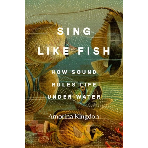 Amorina Kingdon - Sing Like Fish