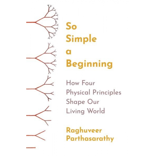 Raghuveer Parthasarathy - So Simple a Beginning