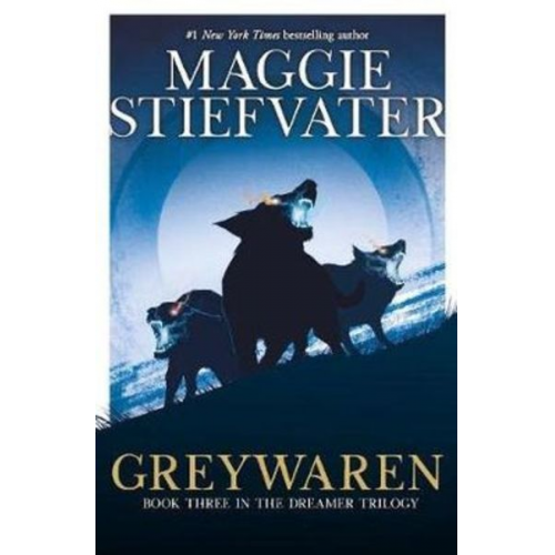 Maggie Stiefvater - The Dreamer Trilogy 3.Greywaren