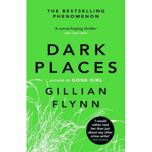 Gillian Flynn - Dark Places