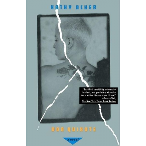 Kathy Acker - Don Quixote, Which Was a Dream