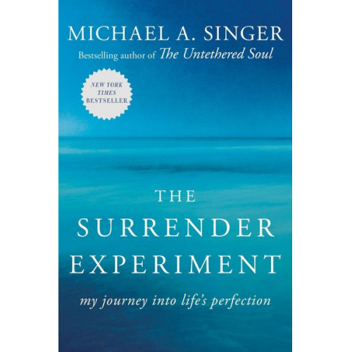 Michael A. Singer - The Surrender Experiment