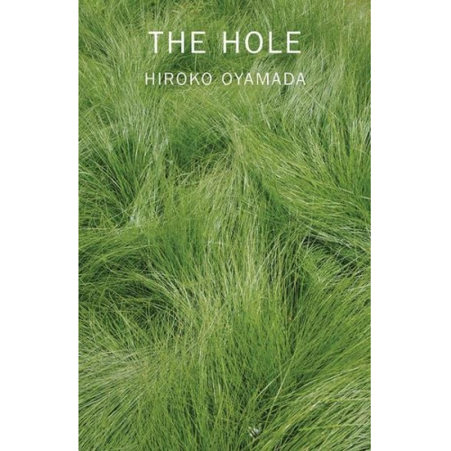 Hiroko Oyamada - The Hole