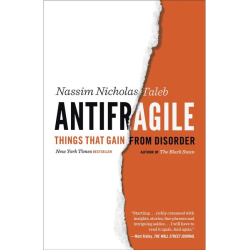 Nassim Nicholas Taleb - Antifragile