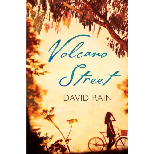 David Rain - Volcano Street