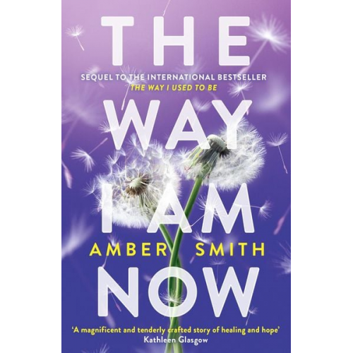 Amber Smith - The Way I Am Now