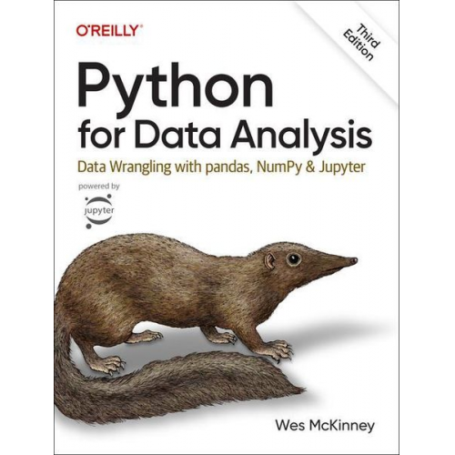 Wes McKinney - Python for Data Analysis