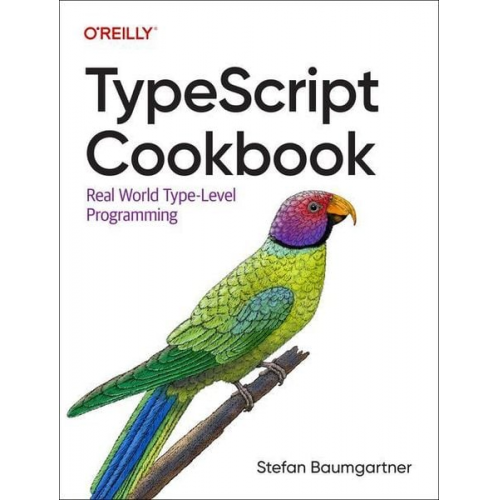 Stefan Baumgartner - TypeScript Cookbook