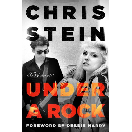 Chris Stein - Under a Rock