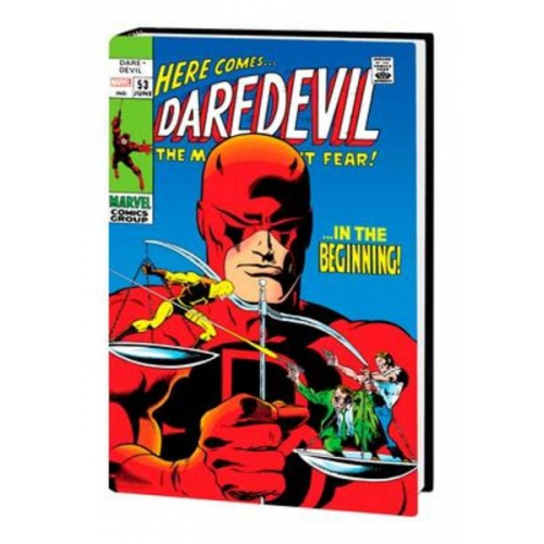 Stan Lee Marvel Various - Daredevil Omnibus Vol. 2