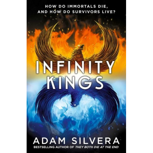 Adam Silvera - Infinity Kings