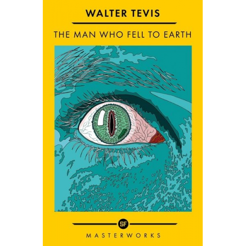 Walter Tevis - The Man Who Fell to Earth