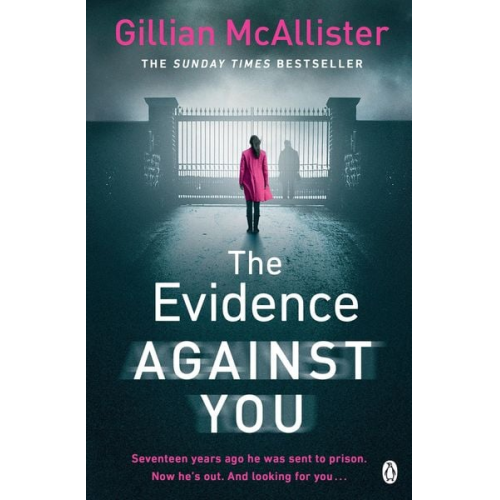 Gillian McAllister - The Evidence Against You