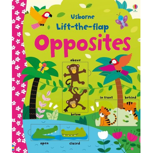 Felicity Brooks - Lift-the-flap Opposites