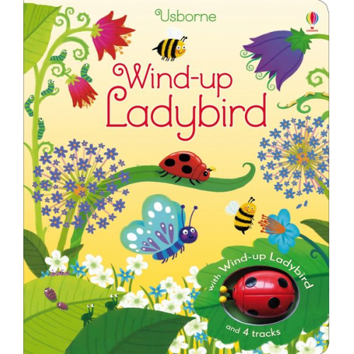 Fiona Watt - Wind-up Ladybird