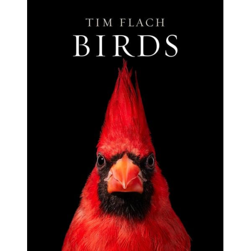 Tim Flach - Birds