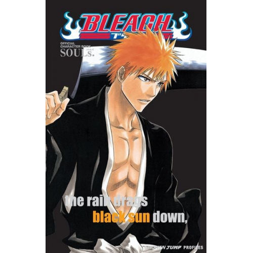Tite Kubo - Bleach: Souls. Official Character Book
