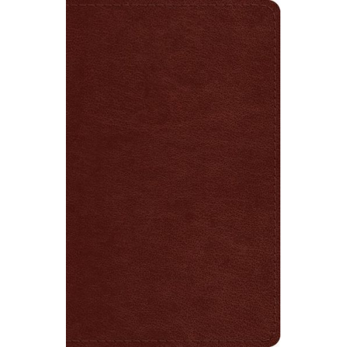 ESV Pocket Bible (Trutone, Chestnut)