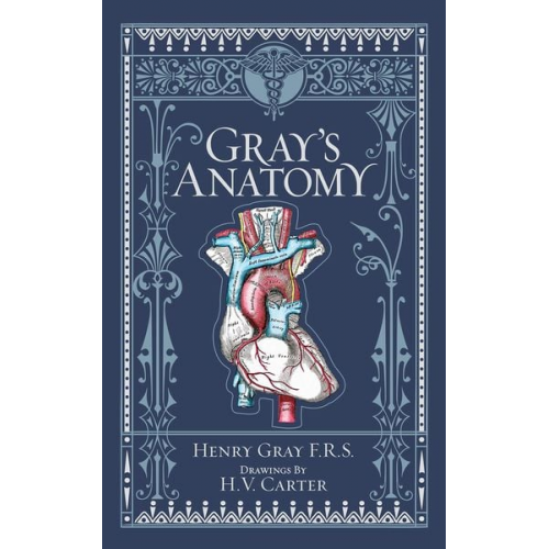 Henry Gray - Gray's Anatomy (Barnes & Noble Collectible Classics: Omnibus Edition)