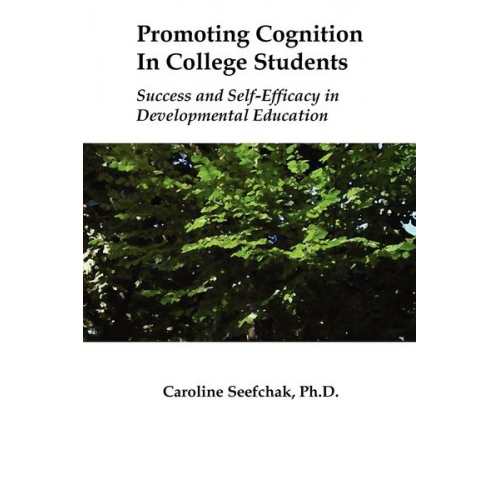 Caroline Seefchak - Promoting Cognition In College Students