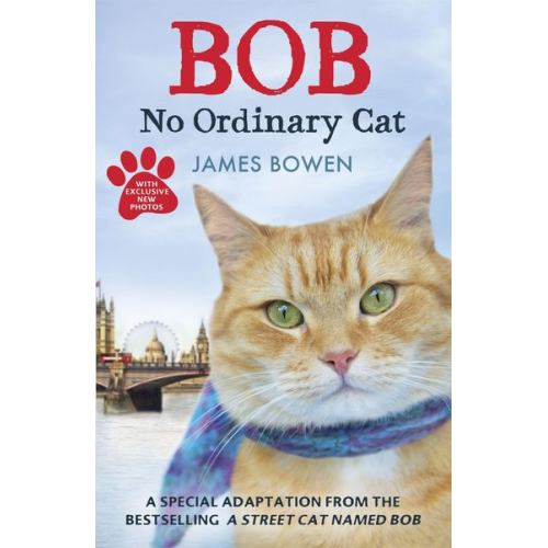 James Bowen - Bob - No Ordinary Cat