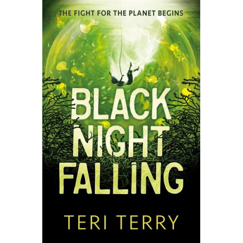 Teri Terry - Black Night Falling