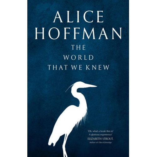 Alice Hoffman - The World That We Knew