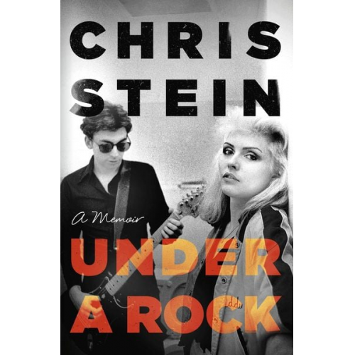 Chris Stein - Under A Rock