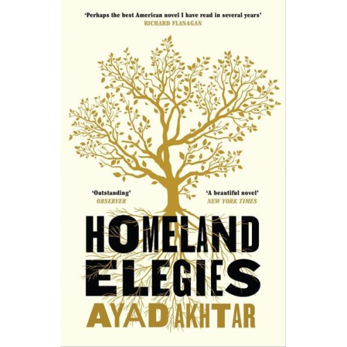 Ayad Akhtar - Homeland Elegies