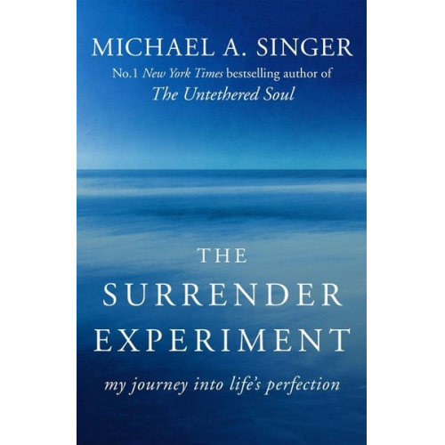 Michael A. Singer - The Surrender Experiment