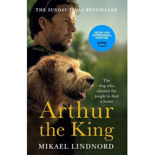 Mikael Lindnord Val Hudson - Arthur the King