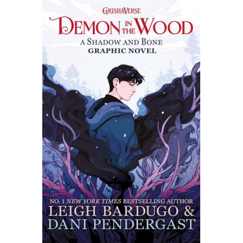 Leigh Bardugo - Demon in the Wood