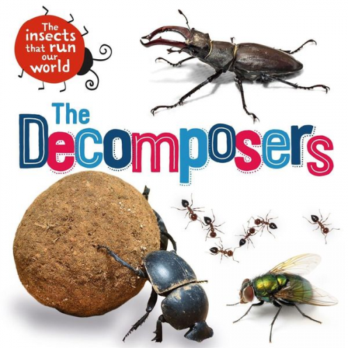 Sarah Ridley - The Insects that Run Our World: The Decomposers