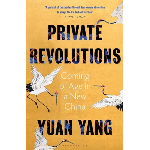 Yuan Yang - Private Revolutions