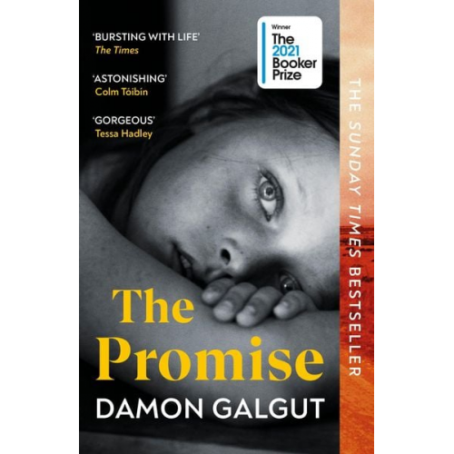 Damon Galgut - The Promise