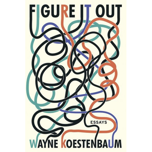 Wayne Koestenbaum - Figure It Out: Essays