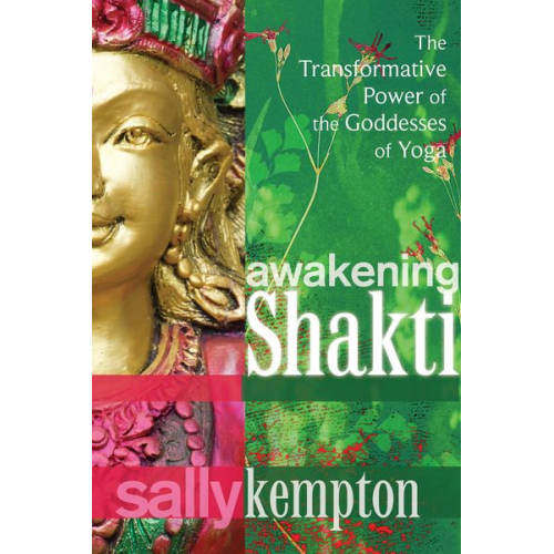 Sally Kempton - Awakening Shakti