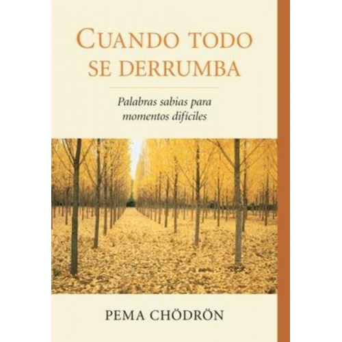 Pema Chodron - Cuando Todo Se Derrumba (When Things Fall Apart): Palabras Sabias Para Momentos Dificiles