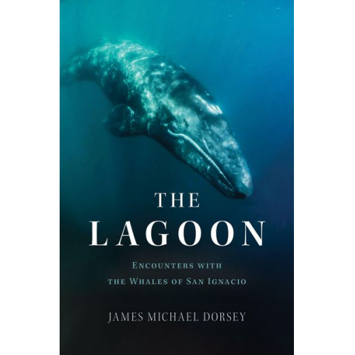 James Michael Dorsey - The Lagoon: Encounters with the Whales of San Ignacio