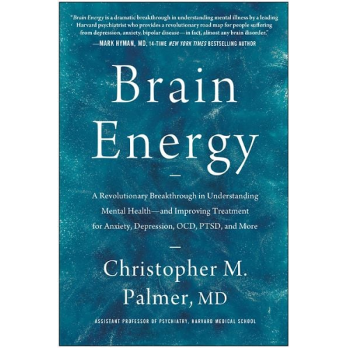 Christopher M. Palmer - Brain Energy