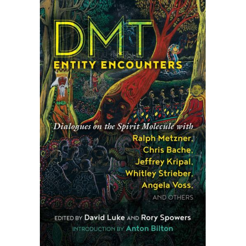 Dmt Entity Encounters