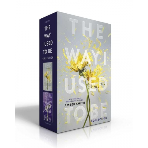 Amber Smith - The Way I Used to Be Collection (Boxed Set)