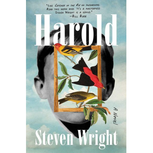 Steven Wright - Harold