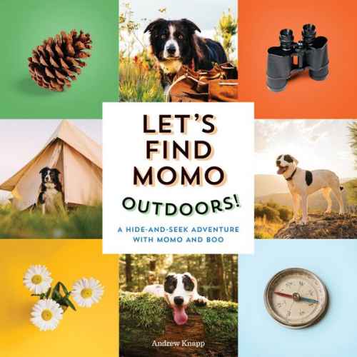 Andrew Knapp - Let's Find Momo Outdoors!